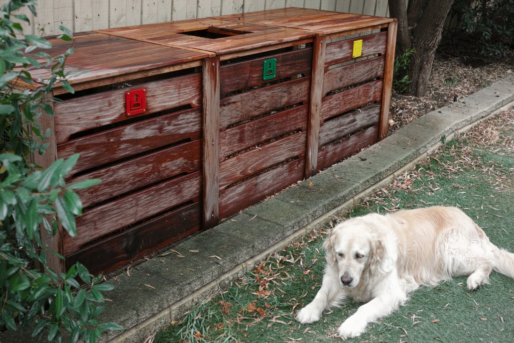 Compost bin and dog