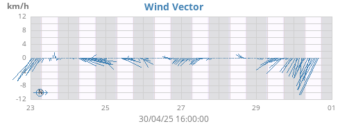 Wind Vector